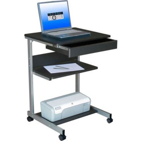 RTA PRODUCTS LLC Techni Mobili Rolling Laptop Desk with Storage, 22"W x 20"D x 31"H, Graphite RTA-B018-GPH06